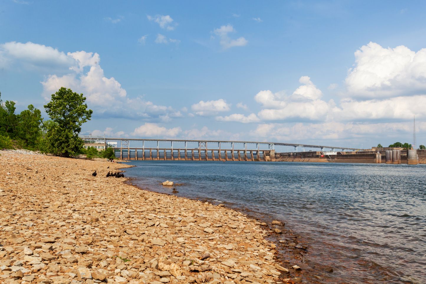 Discover The Preserve at Pickwick Lake in Tennessee - a gated community that features everything you need.